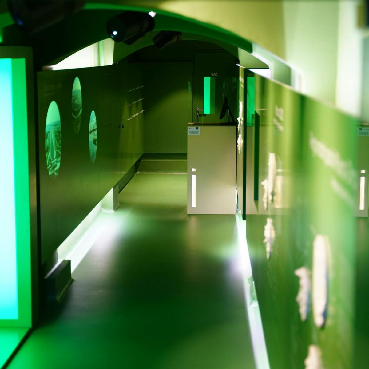 Abstract orchid neon light reflecting on a dark smooth surface